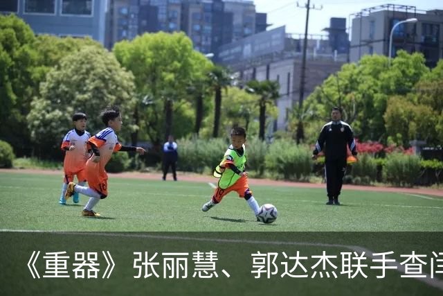 《重器》张丽慧、郭达杰联手查闫继才案，终回最高检，嫁给郑建民