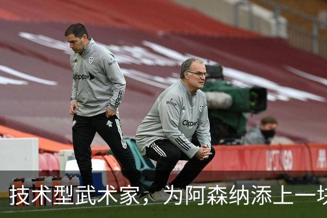 技术型武术家，为阿森纳添上一块拼图