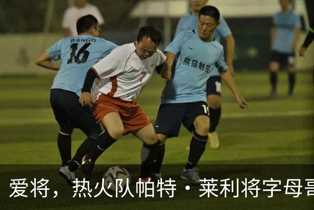 爱将，热火队帕特·莱利将字母哥与“魔术师”约翰逊相提并论