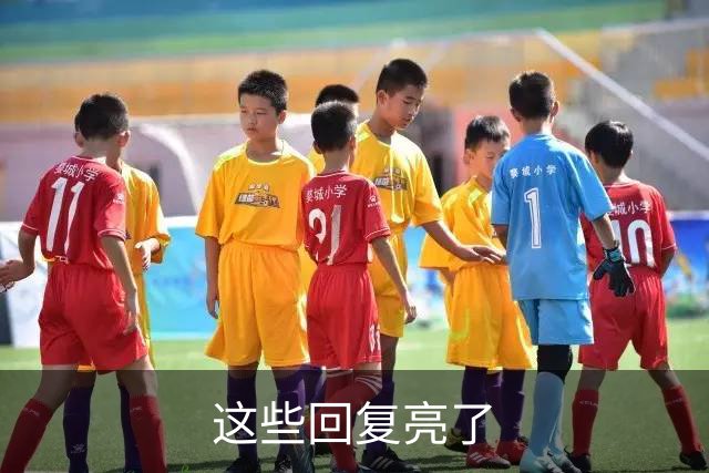 这些回复亮了